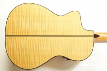 MP-12 Maple Artist